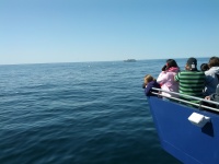 IMG_20120519_155107.jpg