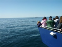 IMG_20120519_155109.jpg