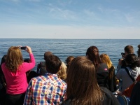 IMG_20120519_155430.jpg