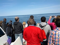 IMG_20120519_155500.jpg