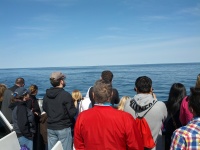 IMG_20120519_155505.jpg