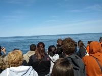 IMG_20120519_155551.jpg