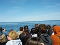 IMG_20120519_155553.jpg