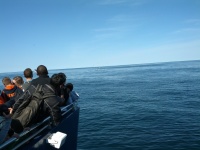 IMG_20120519_155658.jpg