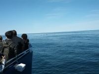 IMG_20120519_155700.jpg