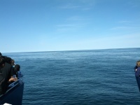 IMG_20120519_155702.jpg