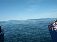 IMG_20120519_155709.jpg