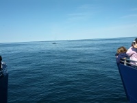 IMG_20120519_155711.jpg