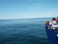 IMG_20120519_155715.jpg