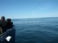 IMG_20120519_155732.jpg