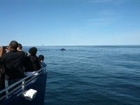 IMG_20120519_155740.jpg