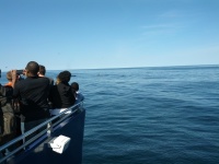 IMG_20120519_155742.jpg