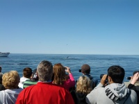 IMG_20120519_155815.jpg