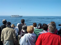 IMG_20120519_155819.jpg