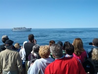 IMG_20120519_155821.jpg