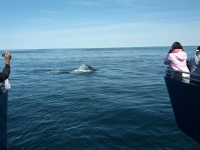 IMG_20120519_155856.jpg