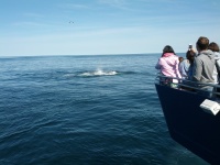 IMG_20120519_155900.jpg