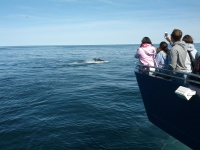 IMG_20120519_155901.jpg