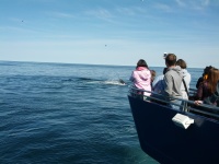 IMG_20120519_155905.jpg