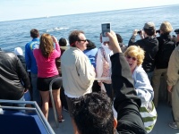 IMG_20120519_155947.jpg