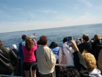 IMG_20120519_155949.jpg