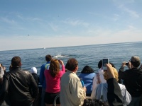 IMG_20120519_155951.jpg