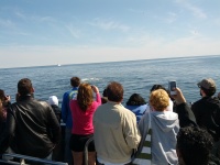 IMG_20120519_155953.jpg