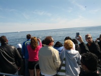 IMG_20120519_155955.jpg