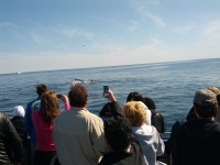 IMG_20120519_160002.jpg