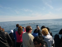 IMG_20120519_160004.jpg