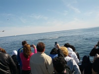 IMG_20120519_160006.jpg