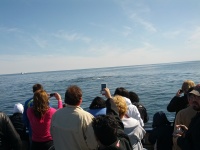 IMG_20120519_160009.jpg
