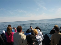 IMG_20120519_160011.jpg