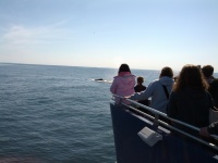 IMG_20120519_160503.jpg