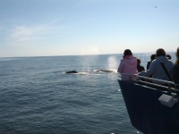 IMG_20120519_160511.jpg