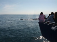 IMG_20120519_160512.jpg