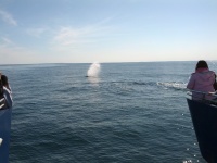 IMG_20120519_160517.jpg