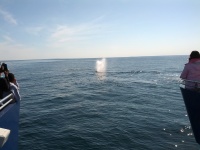 IMG_20120519_160523.jpg