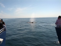 IMG_20120519_160524.jpg