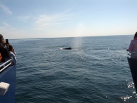 IMG_20120519_160526.jpg