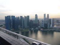 P1000489.jpg