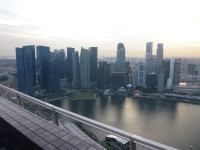 P1000490.jpg
