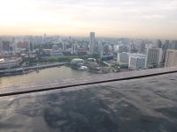 P1000492.jpg