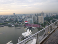 P1000499.jpg