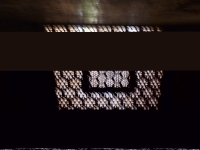 P1000779.jpg