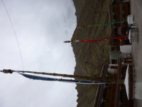 P1010477.jpg