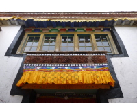 P1010480.jpg