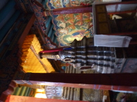 P1010493.jpg