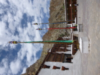 P1010502.jpg