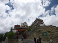 P1010505.jpg